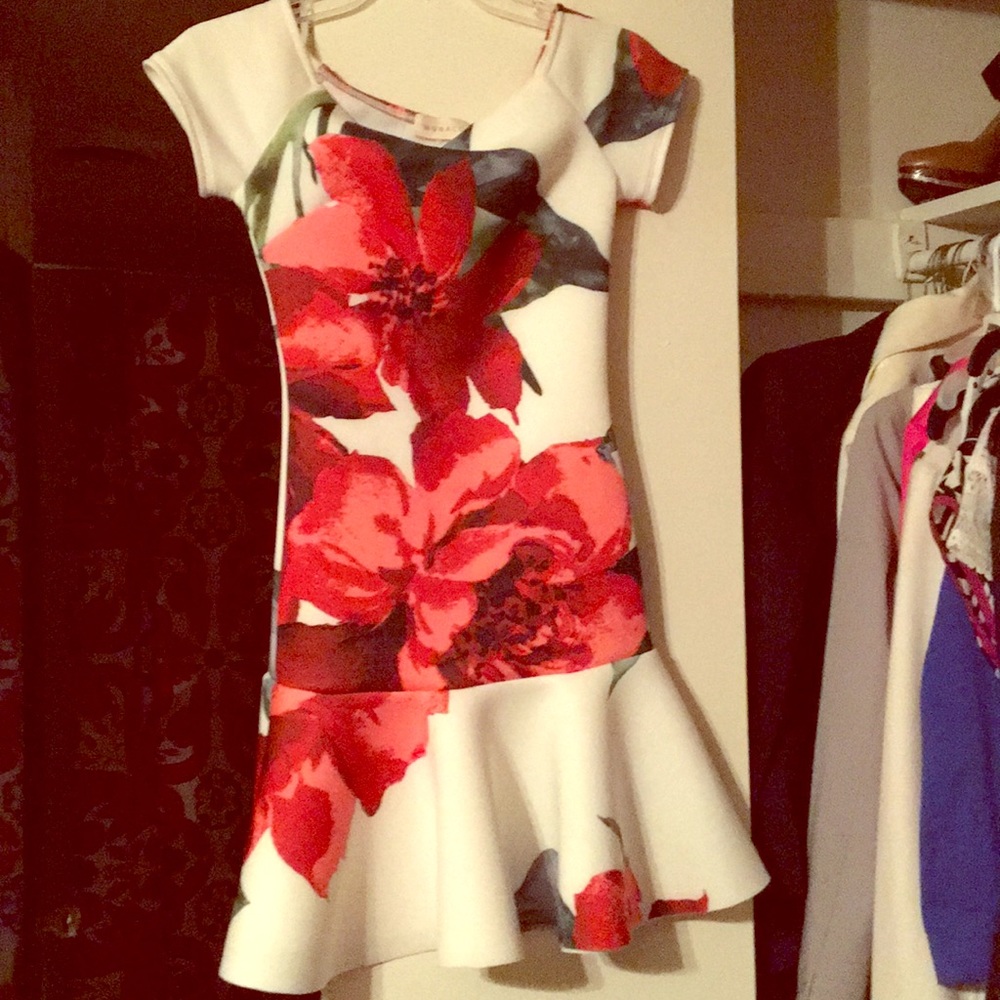 Dinner dress Brunch Dress Tea Dress